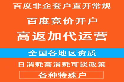 百度竞价代运营助力企业增长